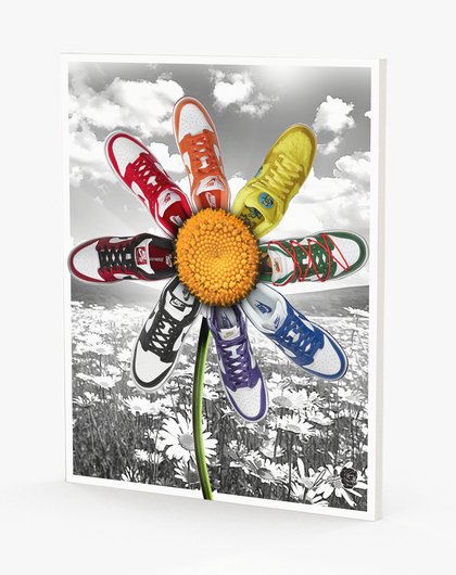 Dunks-A-Daisy Canvas Wall Art